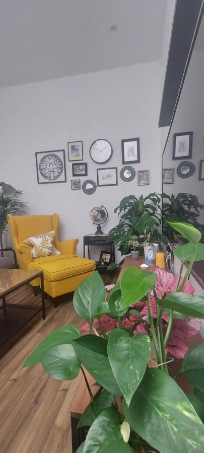 Apartamentos Los Descalzos Free Parking Ρόντα Εξωτερικό φωτογραφία